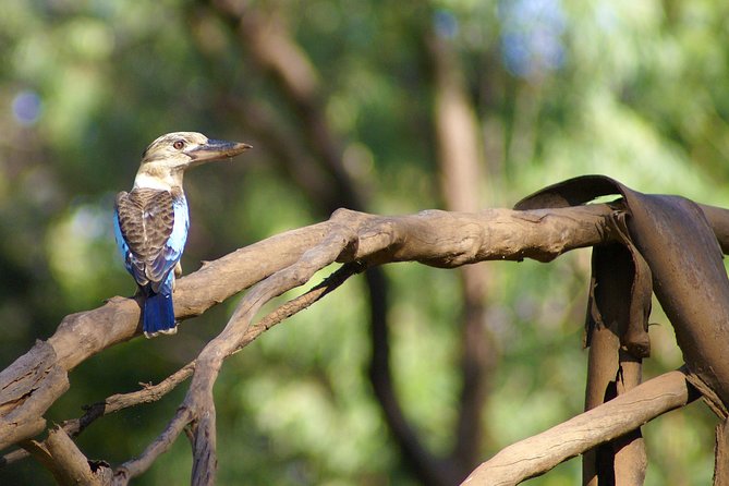 Ord River Cruise Experience With Riverside Lunch - Sum Up