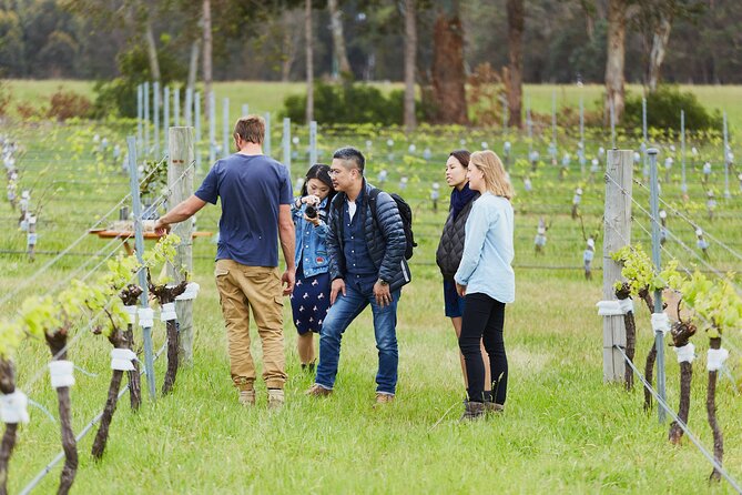 Organic Vineyard/Farm Tour - Common questions