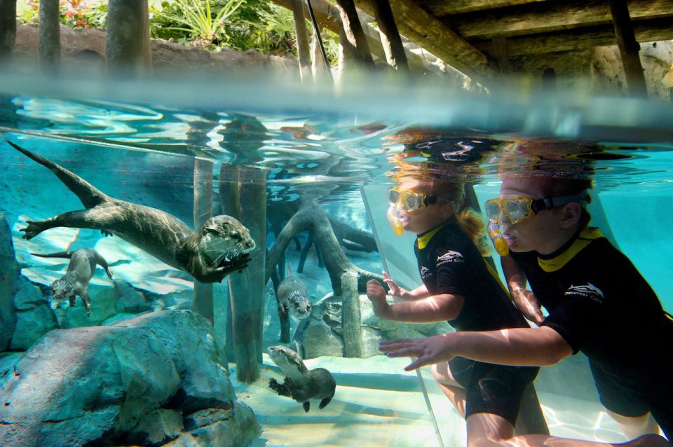 Orlando: Discovery Cove Admission Ticket & Additional Parks - Experience Highlights