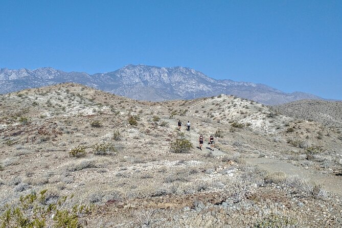 Palm Springs Hike to an Oasis and Amazing Desert Views - Inclusions and Meeting Details