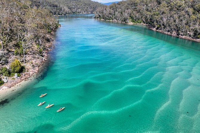 Pambula River Kayaking Tour - Pricing and Additional Information