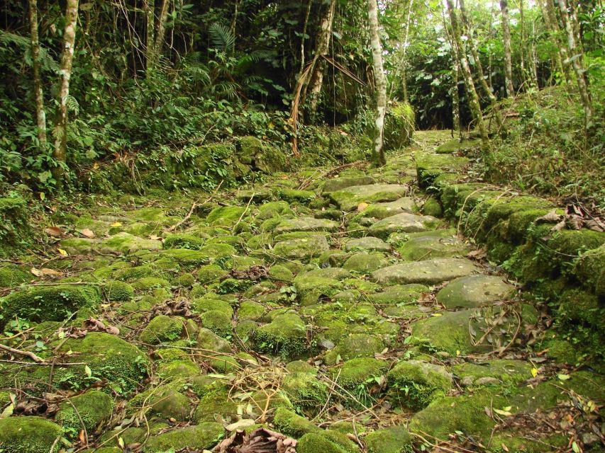 Paraty: Gold Trail Rainforest Hiking Tour - Directions