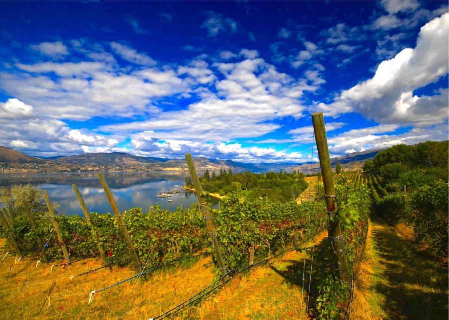 Penticton Wineries Tour - Winery Lunch Experience