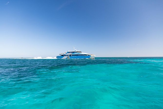 Perth to Rottnest Island Roundtrip Ferry Ticket - Reviews and Visitor Feedback