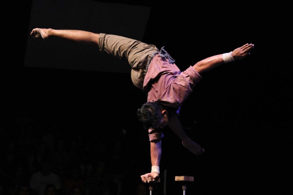 Phare: the Cambodian Circus Show With Pick up & Drop off - Sum Up