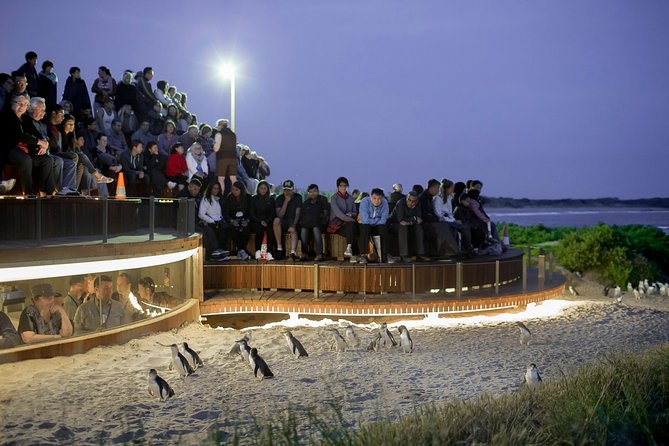 Phillip Island Day Trip From Melbourne With Penguin Plus Viewing Platform - Host Interactions