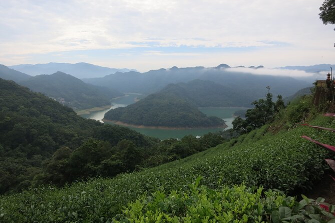 Pinglin Tea Culture & Maokong Day Tour From Taipei - Sum Up