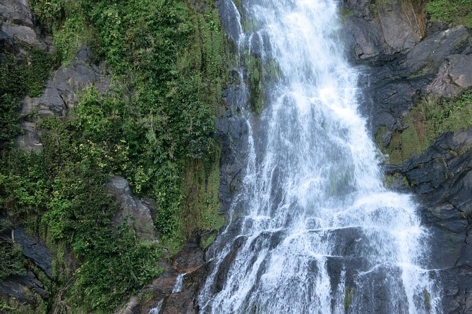 Port Douglas Day Tour Including Kuranda, Skyrail and Scenic Train - Additional Tour Information