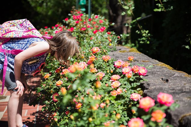 Portland Hop-On Hop-Off Pink Trolley Tour With Gray Line - 1 or 2 Day Pass - Departure and Ticket Redemption