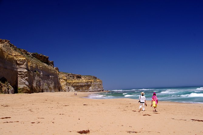 Premium Great Ocean Road Day Tour: Surf Coast Route 12 Apostles, Loch Ard Gorge - Common questions