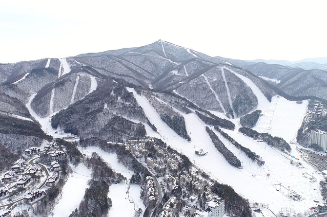 [Premium Private Ski Tour] Pyeongchang Olympic Site (Private Ski Lesson) - Sum Up