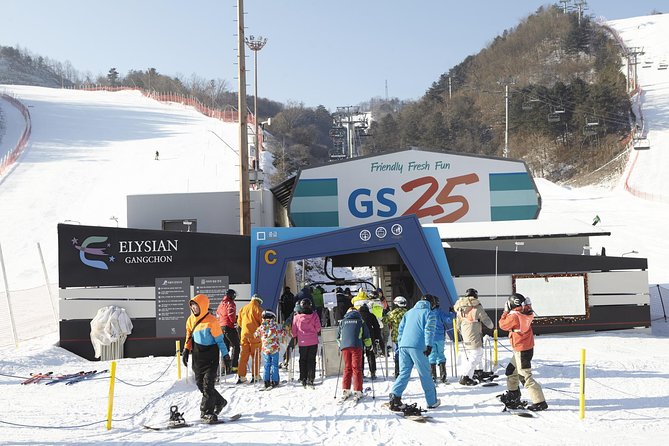 Private 1:1 Ski Lesson Near Seoul, South Korea - Common questions