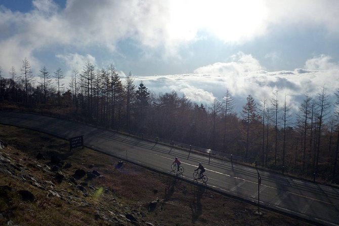 Private 3-Hour Biking Adventure: Descend Mount Fuji  - Fujikawaguchiko-machi - Sum Up