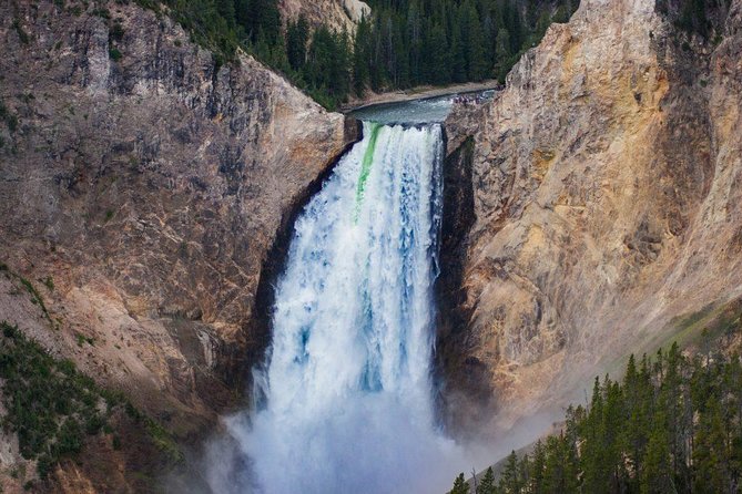 Private All-Day Tour of Yellowstone National Park - Park Stewardship and Beauty Showcase