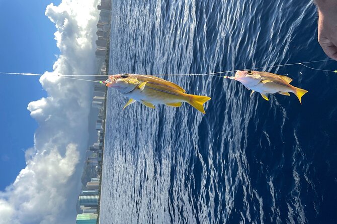 Private Fishing Charter for Family and Friends in Honolulu - Common questions