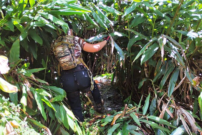 Private Jungle Waterfall Adventure, Wit Da Native Hawaiian Dundee - Common questions