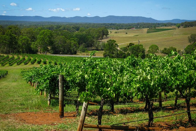 Private Luxury Tour: Tastes of the Hunter Valley - Common questions