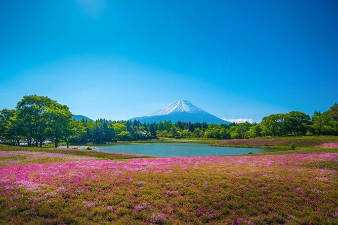 Private Mount Fuji Tour From Narita Airport /Haneda Airport/Tokyo - Sum Up