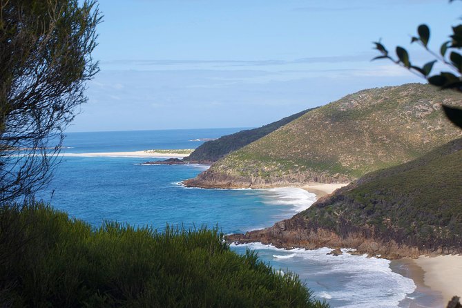 Private Port Stephens Day Trip From Sydney Incl Dolphin Cruise - Sum Up