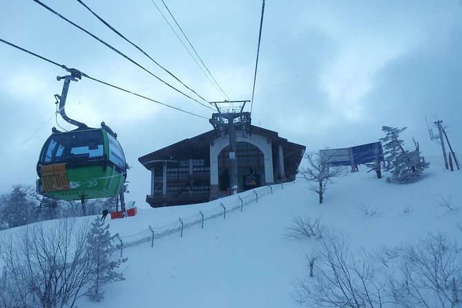 PRIVATE SKI TOUR in Pyeongchang Olympic Ski Resort(More Members Less Cost) - Sum Up