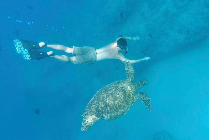Private Snorkeling and Wildlife on The Adventure Boat - Pricing and Additional Information