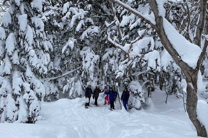 Private Snow Shoe Tour in Shiretoko National Park - Additional Recommendations