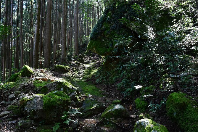Private Spiritual Hike in Hidakamura With Mountain Monk - Directions and Meeting Point