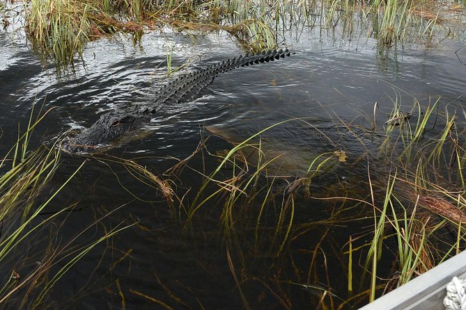 Private Tour: Florida Everglades Airboat Ride and Wildlife Adventure - Common questions