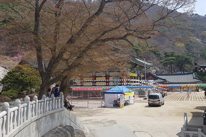 Private Trip to Seongmo Island(Temple) and North Korea ObservatoryKimchi Lesson - Sum Up