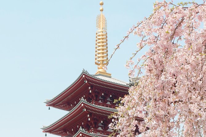 Private & Unique Kyoto Cherry Blossom "Sakura" Experience - Common questions