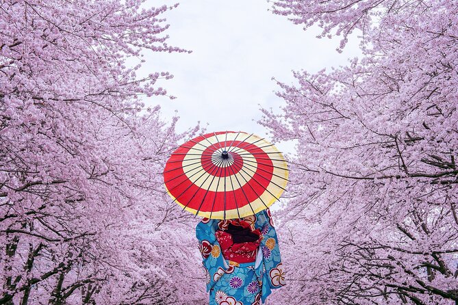 Private & Unique Tokyo Cherry Blossom "Sakura" Experience - Pricing Breakdown