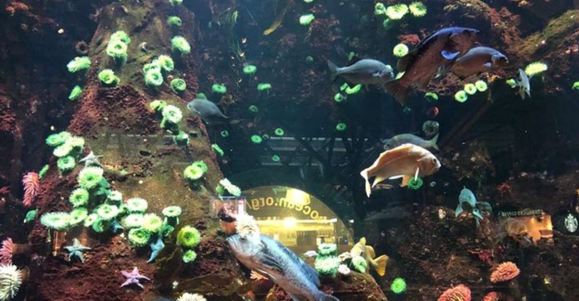 Private Vancouver Aquarium and Bloedel Conservatory Tour - Common questions