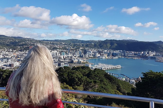 Private Wellington Full Day Sightseeing Tour - Customer Feedback