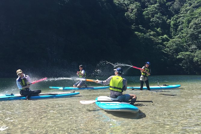 [Recommended on Arrival Date or Before Leaving! ] Relaxing and Relaxing Water Walk Awakawa River SUP - Things to Consider Before Booking