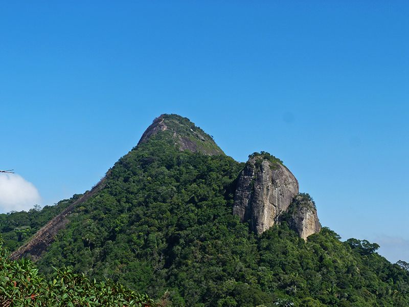 Rio De Janeiro: Tijuca Peak Guided Hike - Sum Up