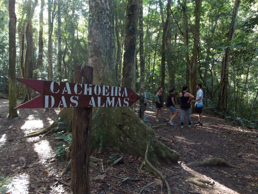 Rio: Tijuca Forest Historical Hike & Cachoeira Das Almas - Sum Up and Departure Details