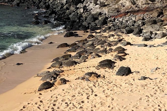 Road to Hana Adventure - Best Tour on Maui - Safety Measures