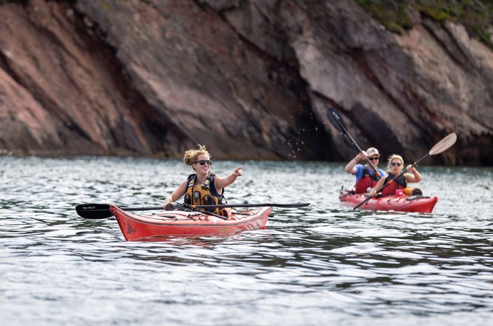 Saint John: Bay of Fundy Guided Kayaking Tour With Snack - Common questions