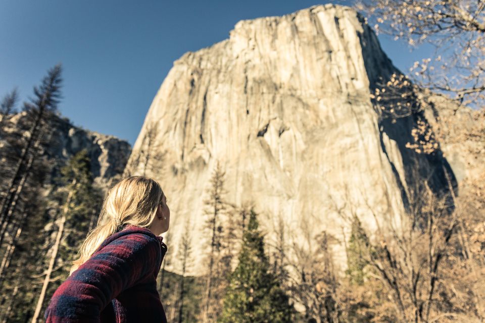 San Jose: Yosemite National Park and Giant Sequoias Trip - Transportation