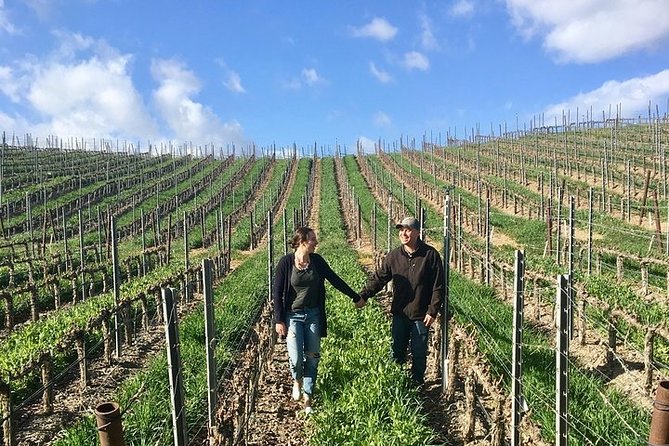 Santa Barbara Small-Group Wine Tour to Private Estates & Wineries - Common questions