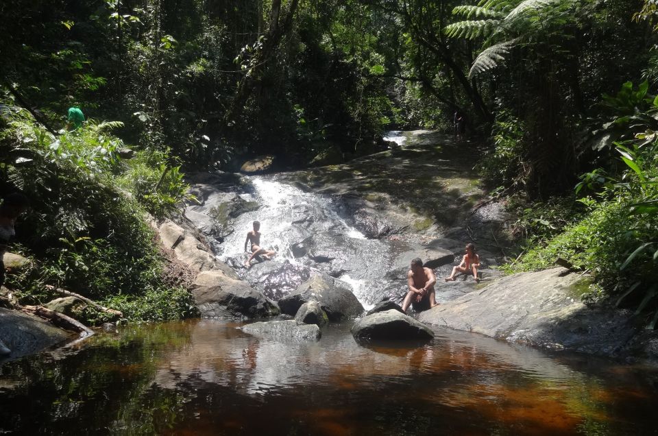 São Paulo: Cantareira Natural Park Hiking in the Rain Forest - Customer Reviews