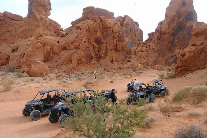 Scenic Valley of Fire 3-Hour ATV or Quad Ride Along Tour - Sum Up