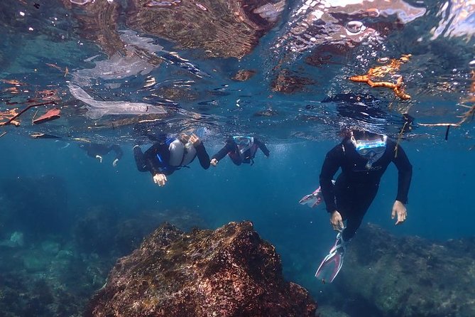 Scuba Diving & Snorkeling - Environmental Conservation Efforts