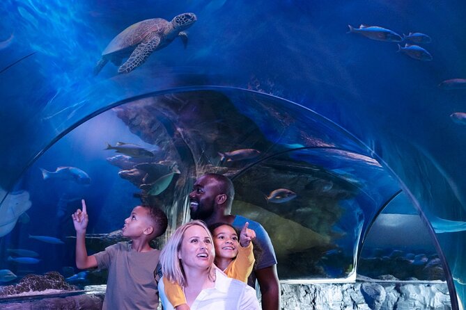 SEA LIFE Orlando Aquarium - Additional Options and Upgrades