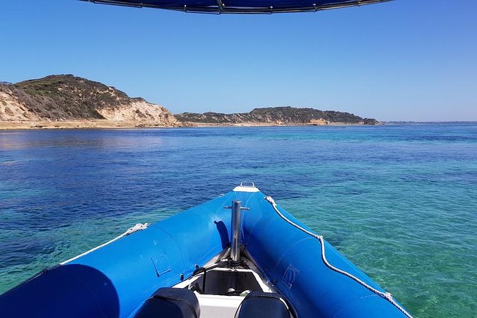 Seal and Dolphin Watching Eco Boat Cruise Mornington Peninsula - Important Directions and Tips
