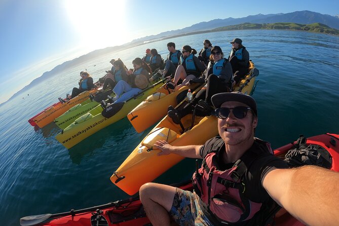 Seal Kayaking Adventure in Kaikoura - Common questions