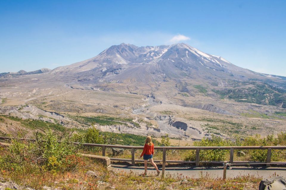 Seattle: Mt. St. Helens National Monument Small Group Tour - Sum Up