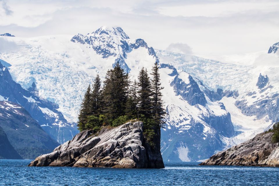 Seward: Kenai Fjords National Park 6-Hour Cruise