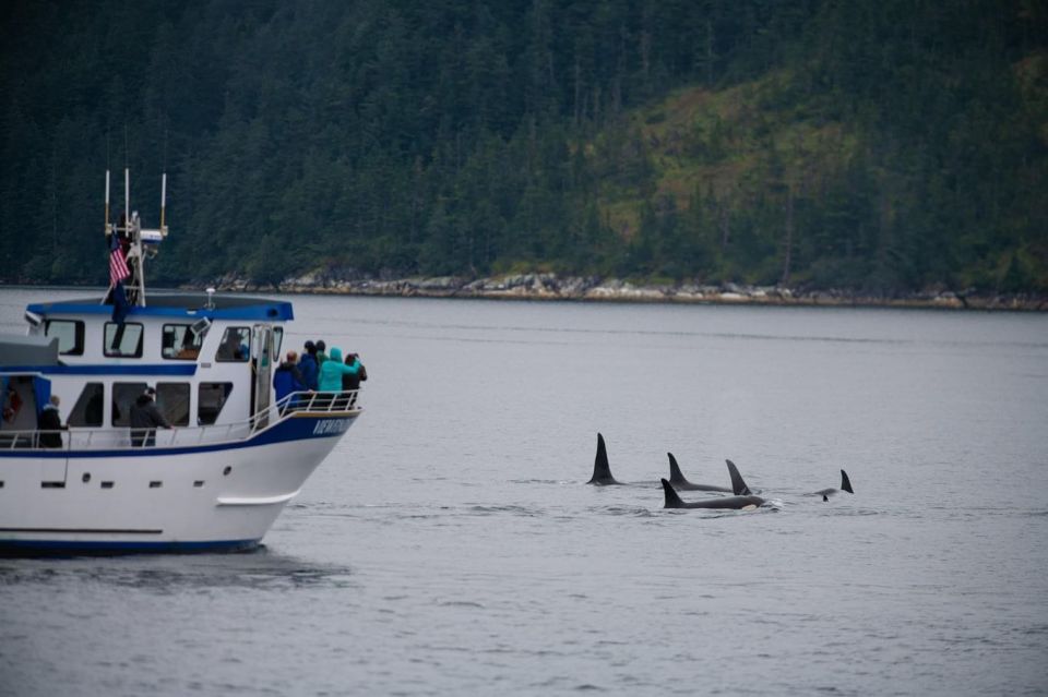 Seward: Kenai Fjords National Park Extended Cruise - Cruise Logistics