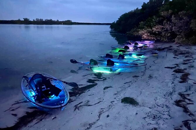 Shell Key Clear Kayak Glow in the Dark Tour - Sum Up